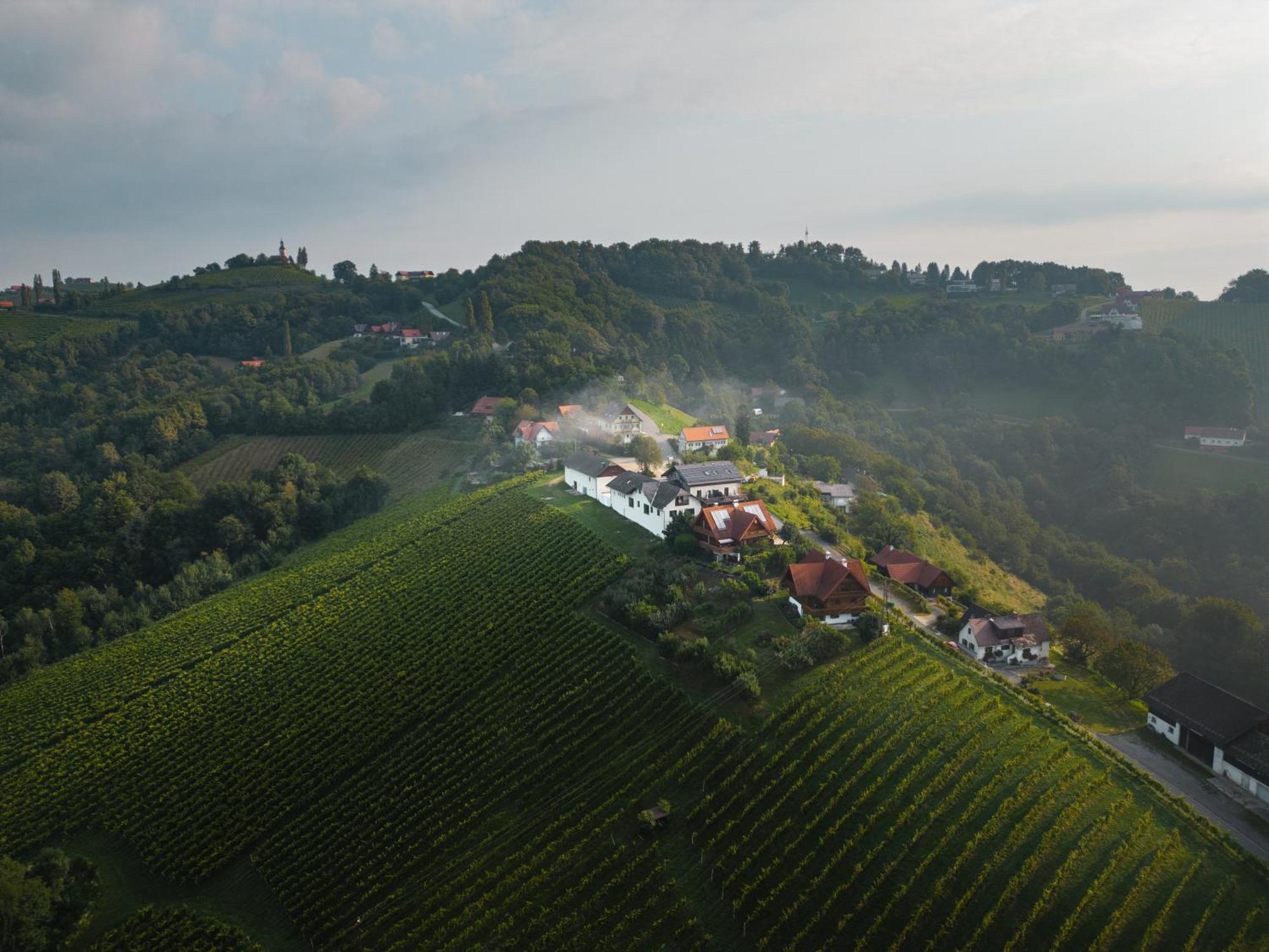 Das Weinkitz Kitzeck im Sausal Zewnętrze zdjęcie