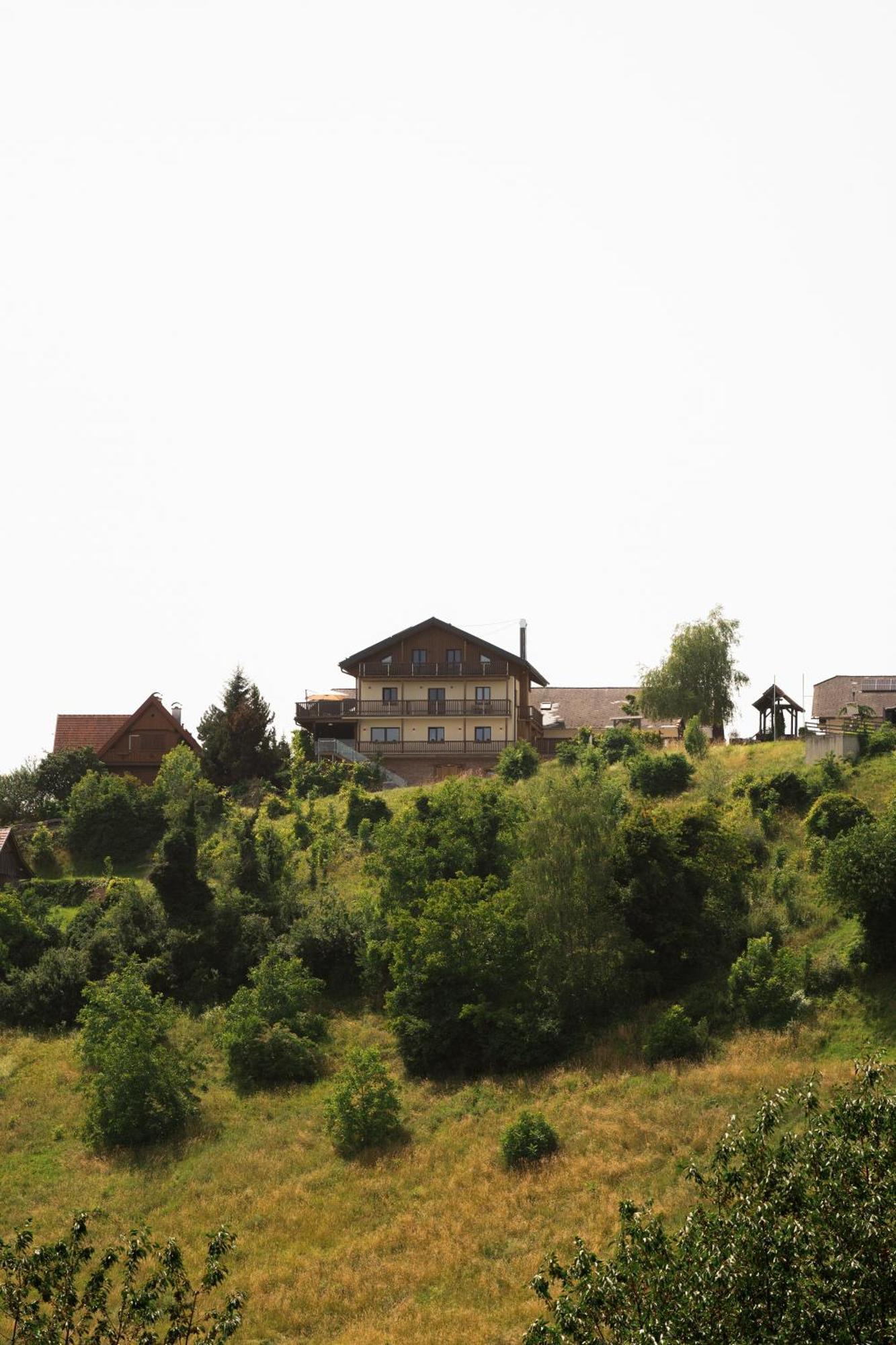 Das Weinkitz Kitzeck im Sausal Zewnętrze zdjęcie